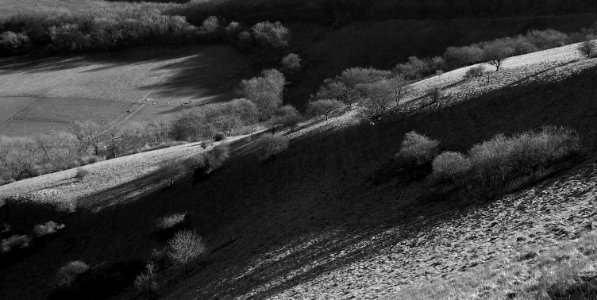 50 south downs Chantry Hill 