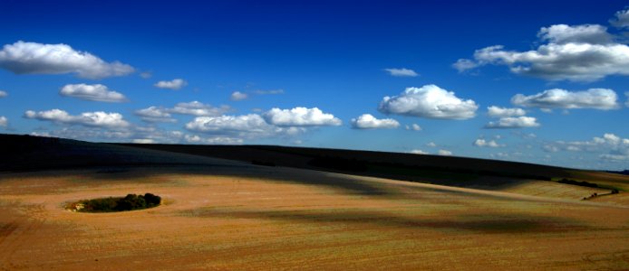 41 south downs The Comp photo