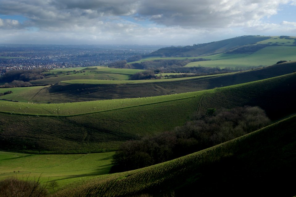 04 south downs Above Folkington 