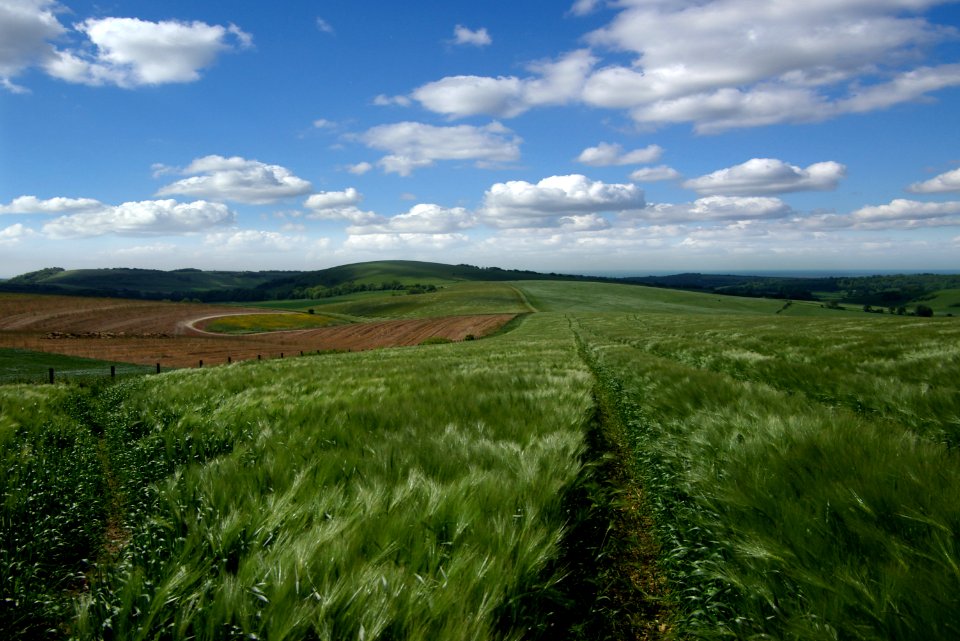 07 south downs From Chantry Hill 