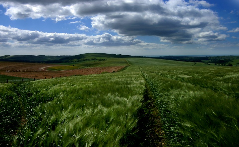 06 south downs From Chantry Hill 