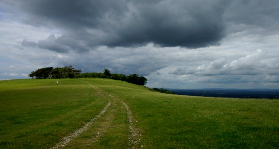 31 south downs Chanctonbury Ring 