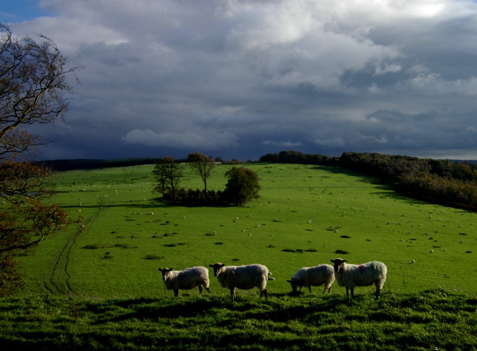 03 peak district Calton Pastures 