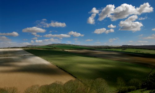 02 south downs Charleston Bottom 