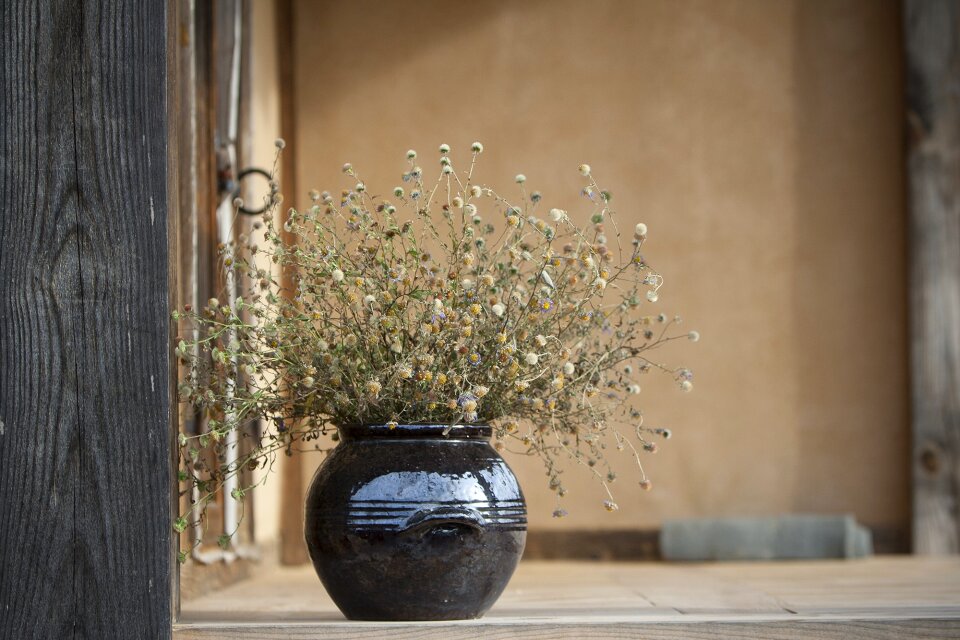 Still-life porcelain flowers