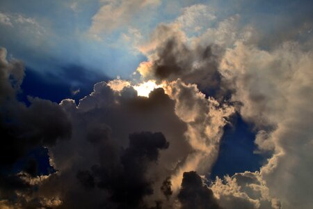 Miracle beauty beautiful