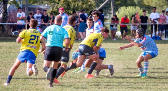 IMG_4471 