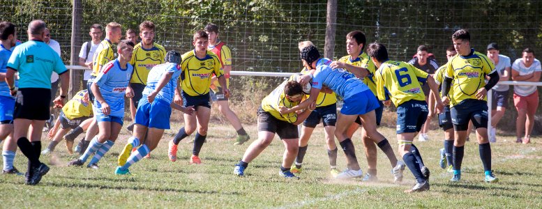 IMG_4244 