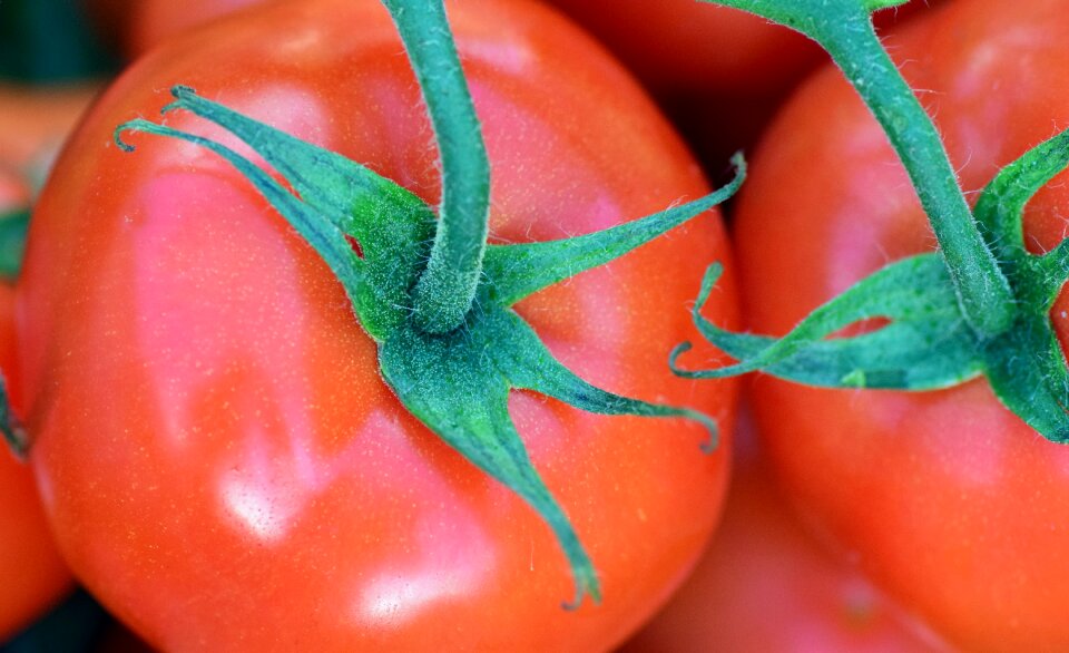 Food red nachtschattengewächs