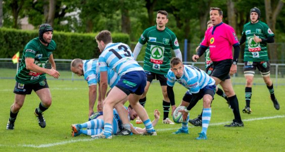 IMG_9851 
