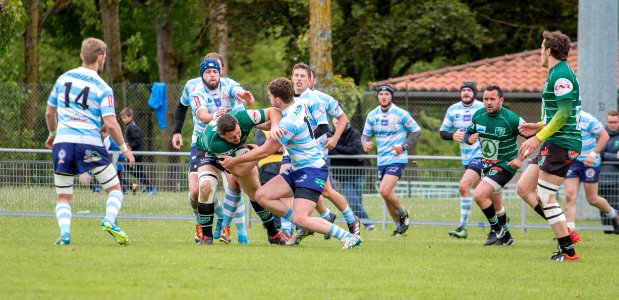 IMG_9477 
