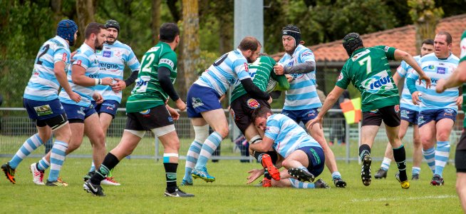 IMG_9456 