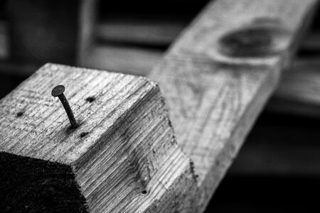 Wood nail black and white photo