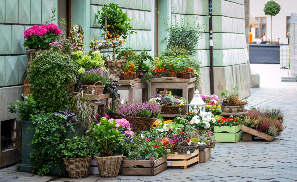 Shop street arrangement