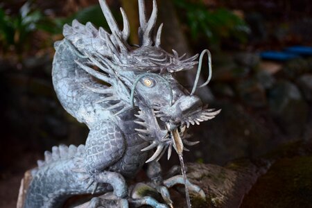 Miyazaki qingdao dragon