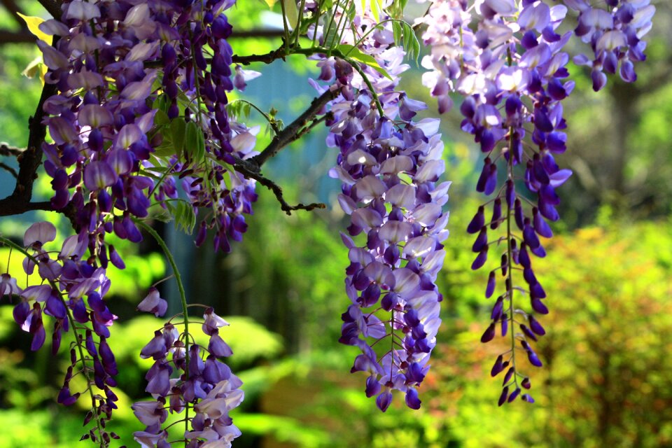 Swaying natural landscape