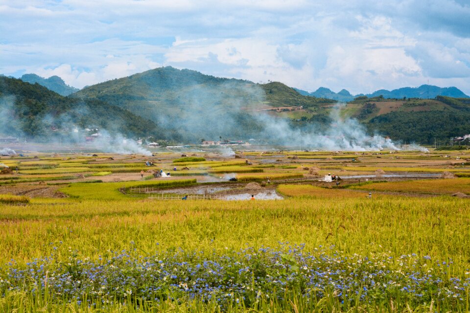Vietnam dienbien landscape