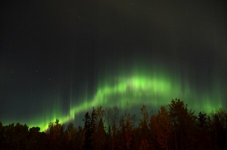 Northern borealis aurora