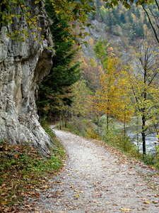 Colors nature trail photo