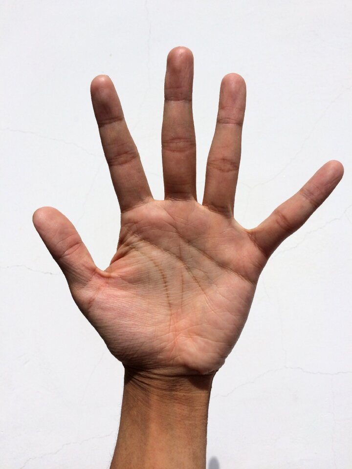 Bleaching palm reading young