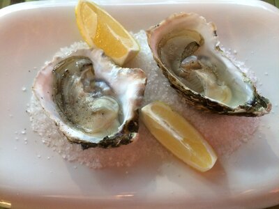 Seafood restaurant gastronomy