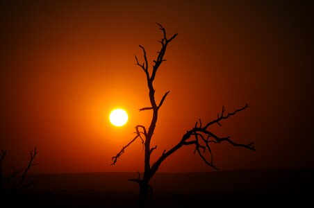 Kruger national park tree reserve