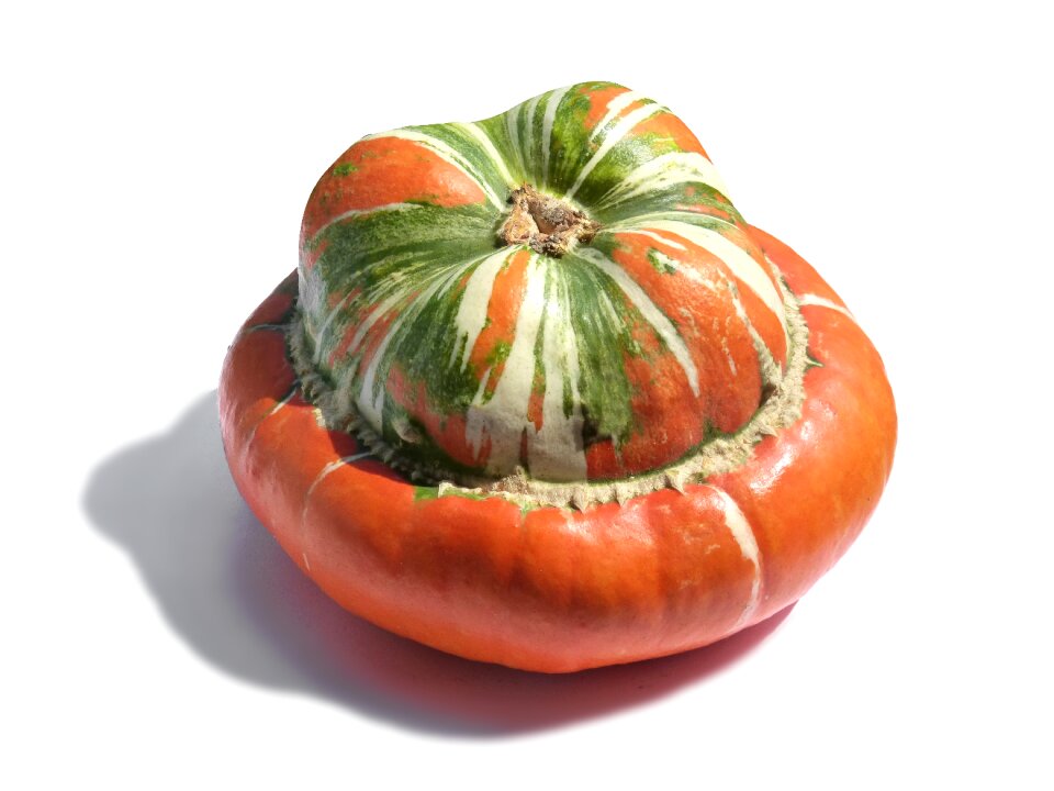 Turban squash white background rustic decor