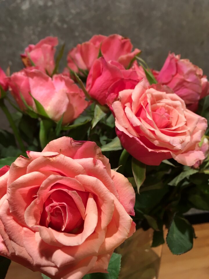 Roses flowers bouquet