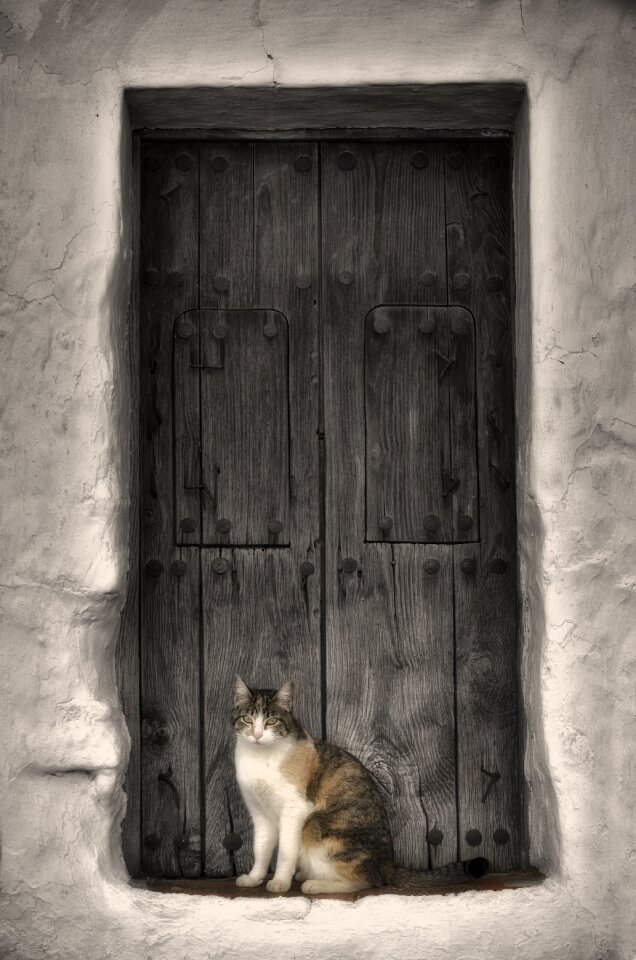 Animal home mammal door