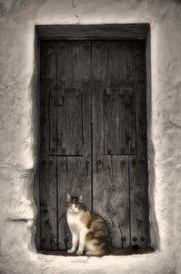 Animal home mammal door