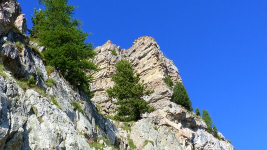 Alps rock trees photo