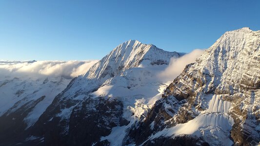 Gran zebru monte zebru ortlergruppe photo