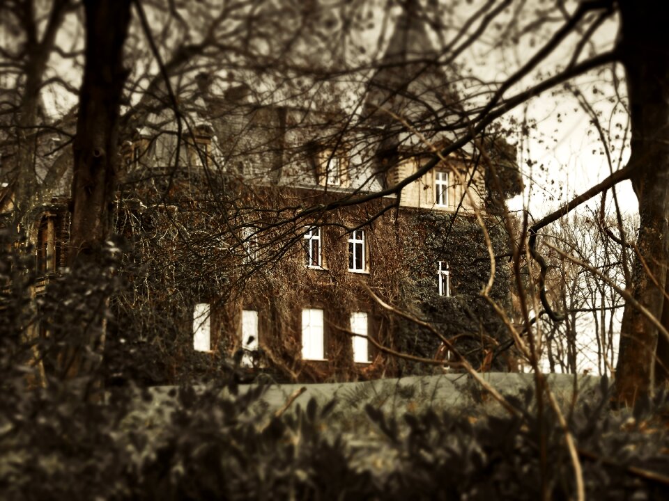 Mystical atmosphere spooky