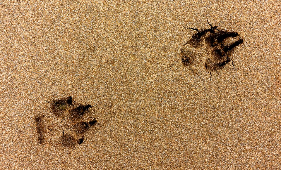 Beach sand impression