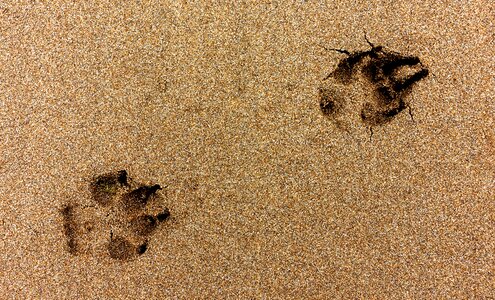 Beach sand impression
