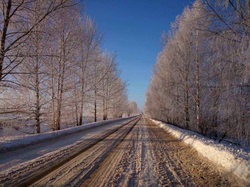 Sunny road winter