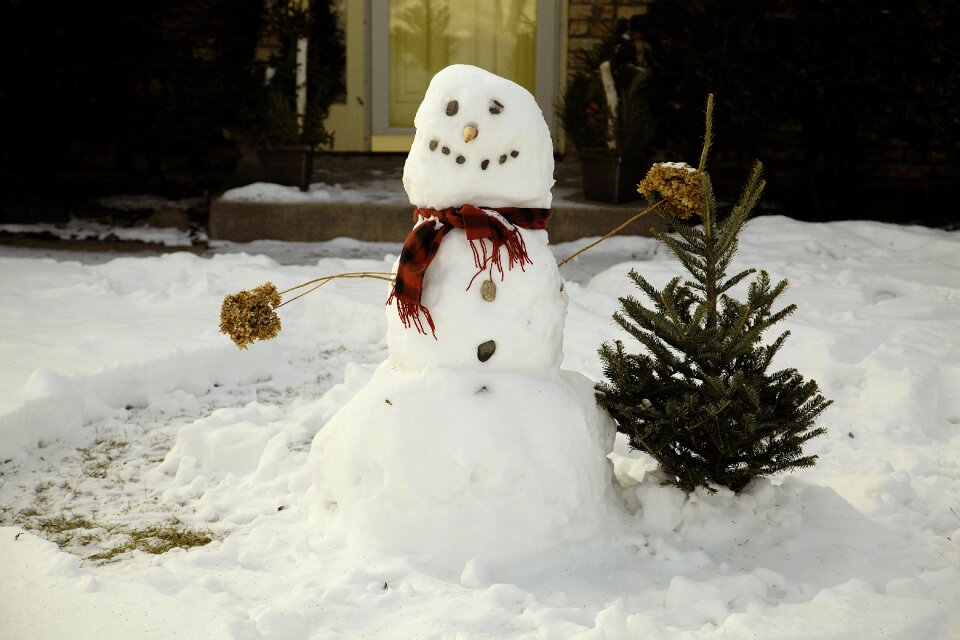 Winter christmas cold