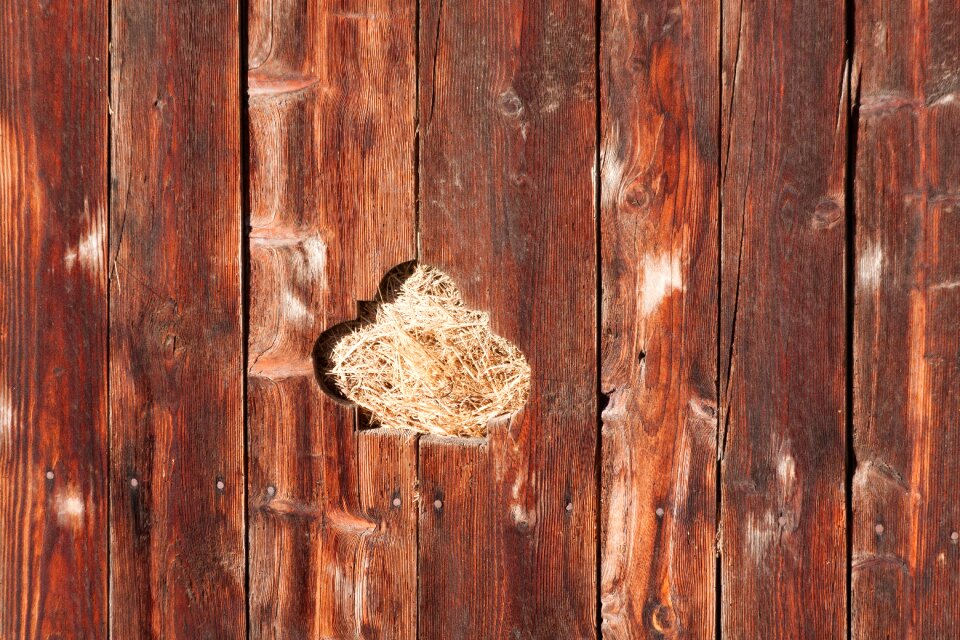 Grain ornament opening