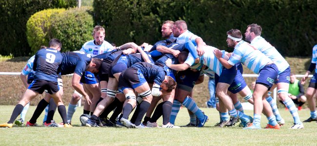 IMG_6301 