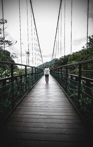 Nature gray waterfall gray bridge