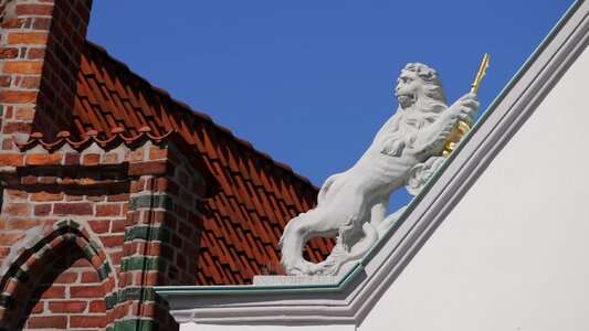 Historically ornament lion