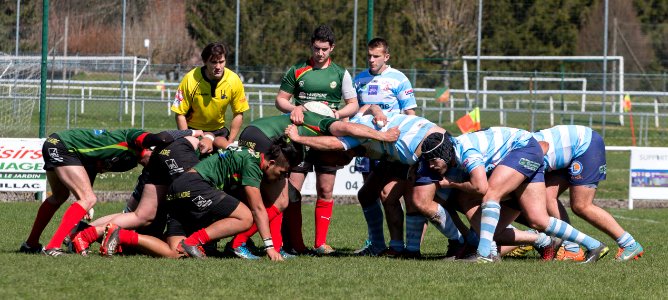 IMG_1847 