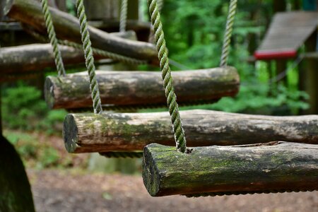 Climbing forest forest high