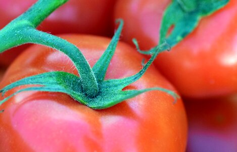 Food red nachtschattengewächs