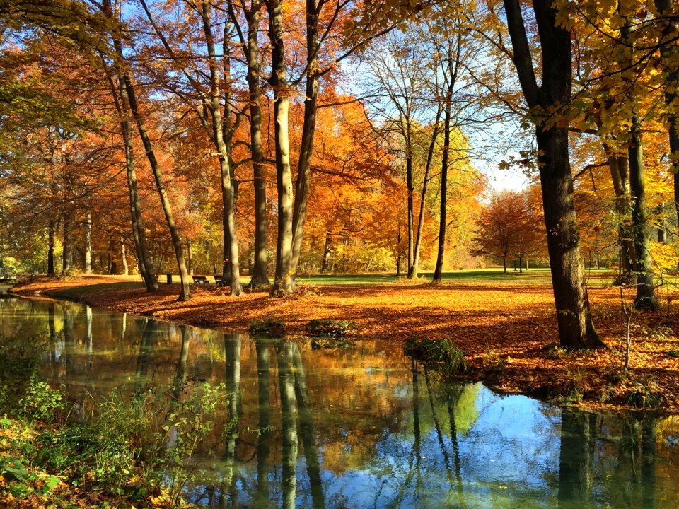 Bavaria park eisbach