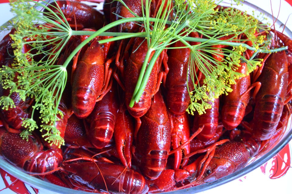 Mat crustaceans seafood