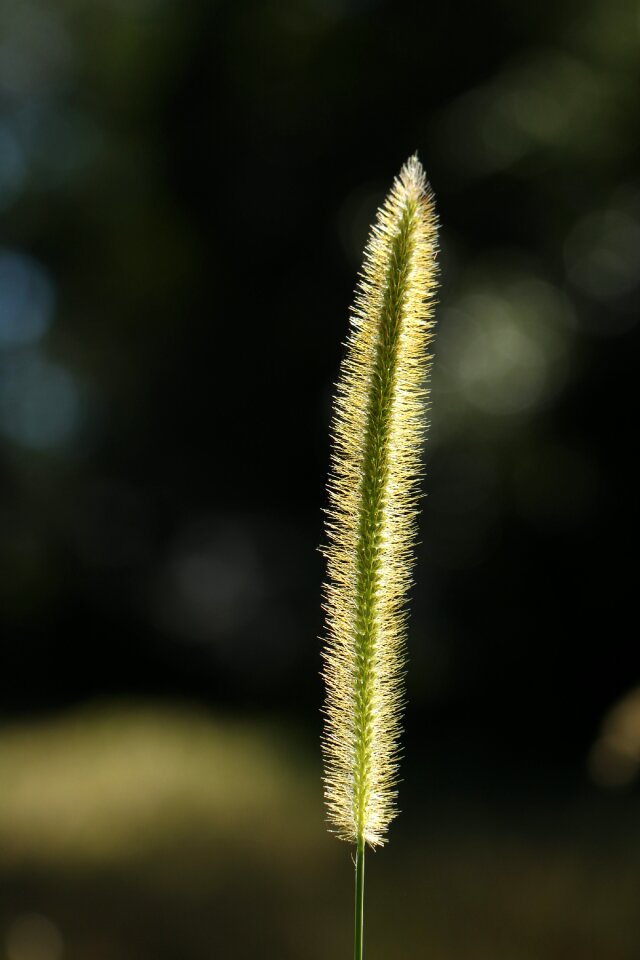 Clear close-up clouds