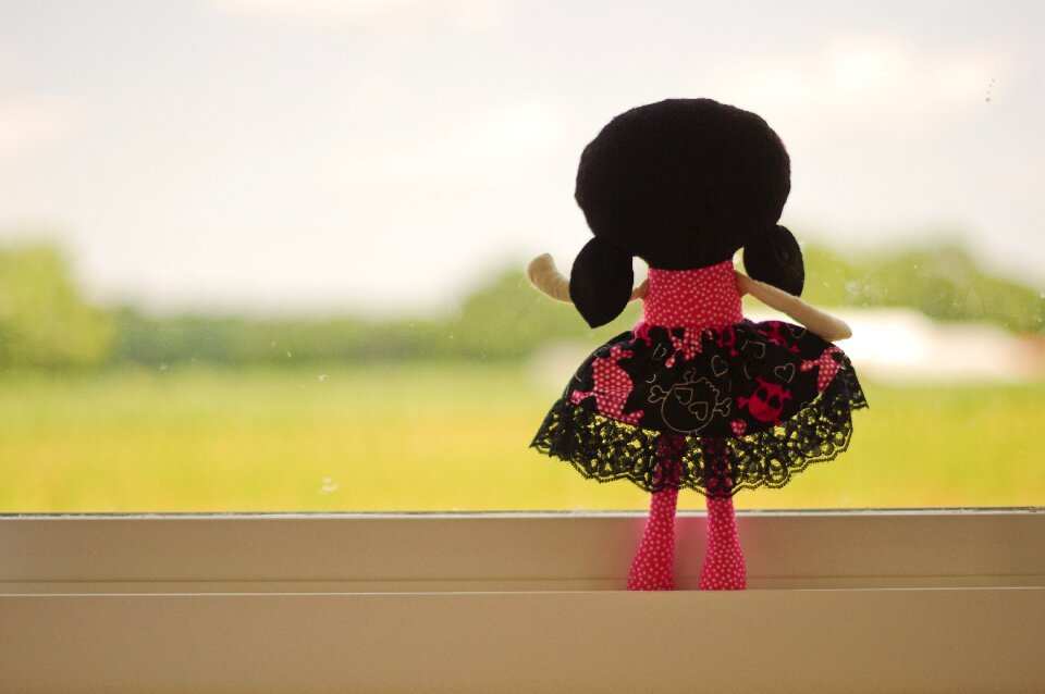 Black hair farm window