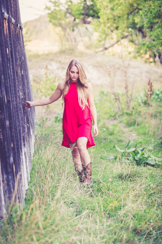 Nature outdoor summer