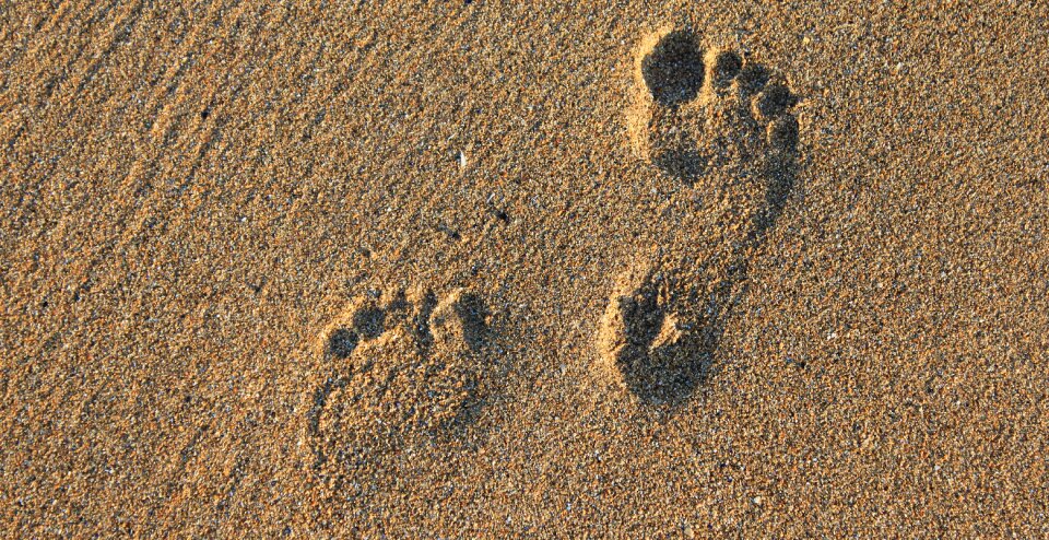 Barefoot feet sand photo